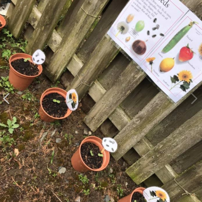 Screen Shot 2019-05-08 at 20.48.45